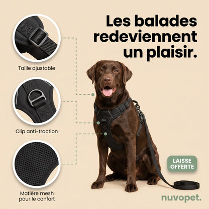 GentleWalk™ Harness
