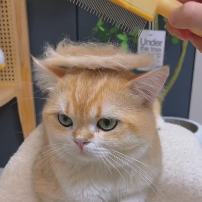 Brosse FureverBond™