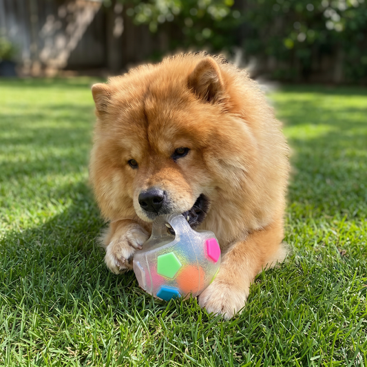 ChompBall Stress Relief Dog Ball