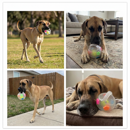 ChompBall Transparent View